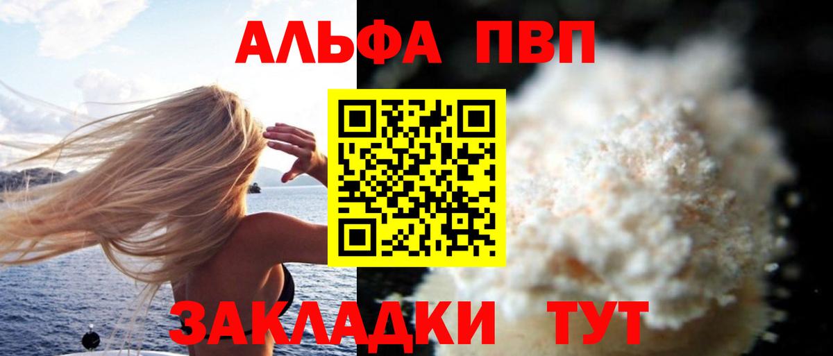 Кириши  Alpha PVP  А ПВП СК КРИС  Вход с VPN  Alfa_PVP СК 