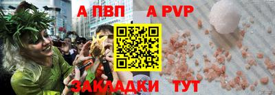 твердый Кингисепп