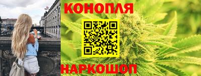 твердый Кингисепп