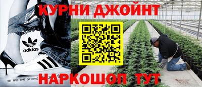 ПСИЛОЦИБИНОВЫЕ ГРИБЫ Конаково
