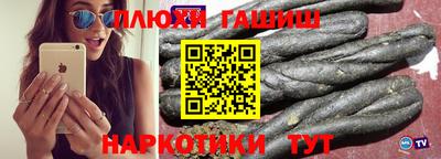 твердый Кингисепп