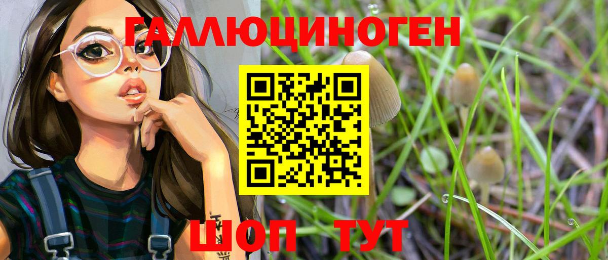 Кириши  Псилоцибиновые грибы прущие грибы  Вход с VPN 