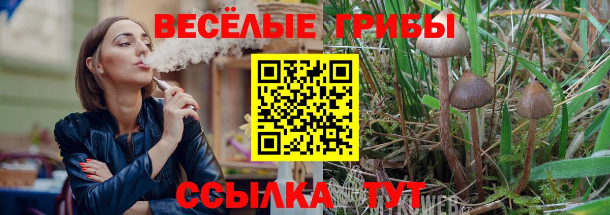 Псилоцибиновые грибы Cubensis Кириши